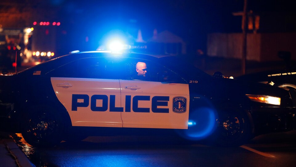 US Police Shootings EDA using R